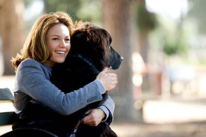 dogs 13 - 450